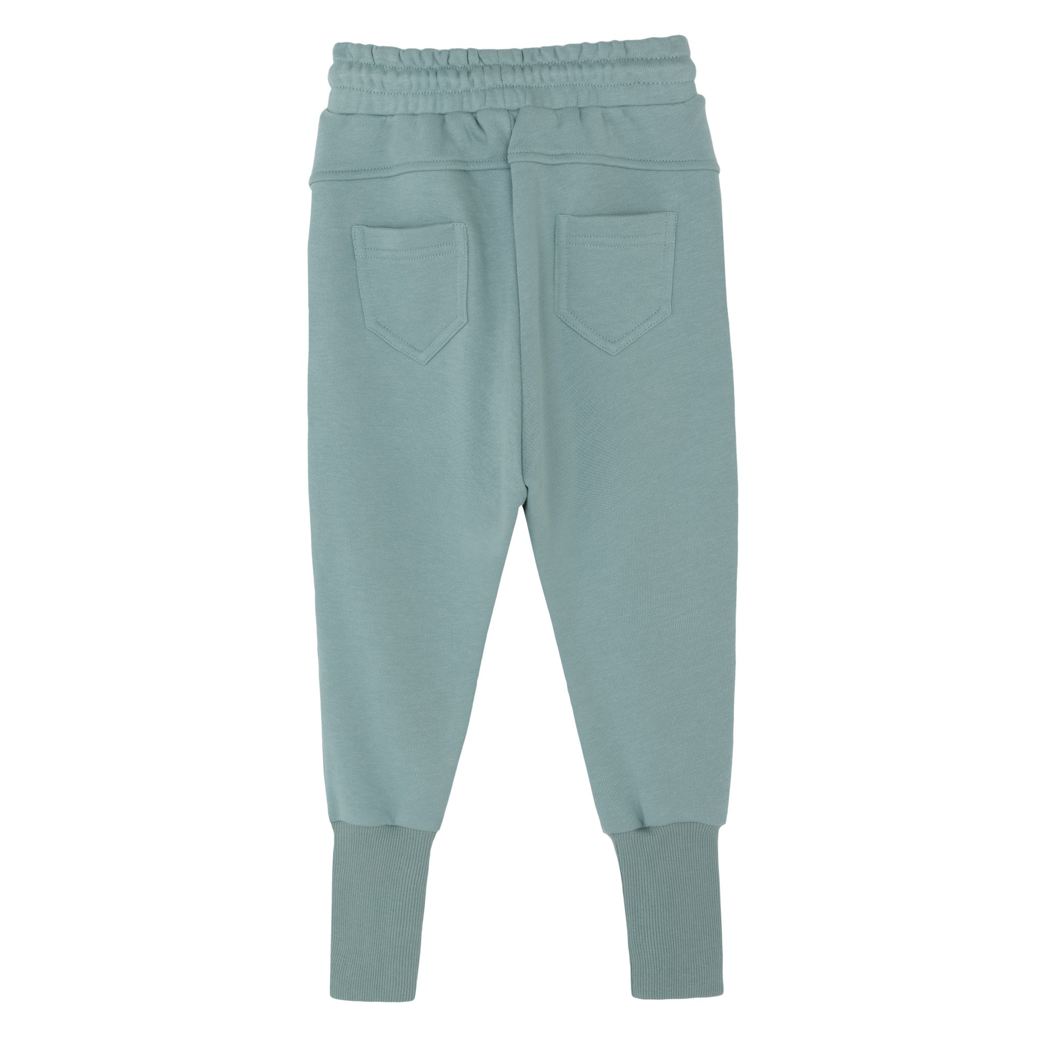 DAY JOGGER MINT